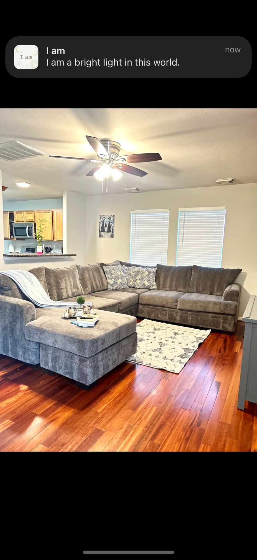 Gray Spacious Couch