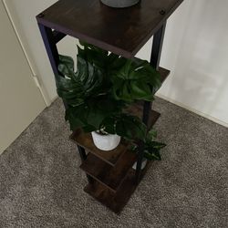 New Stand Or Plant Stand ( Plants Not Included ) 
