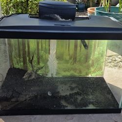 2 Aquariums 20g And 10g