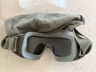Revision desert locust goggles