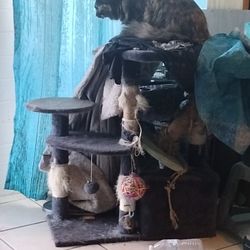 Everything $25 Each !! Desk, Dining Table, Coffee Table, Bed, Exercise Equipment 