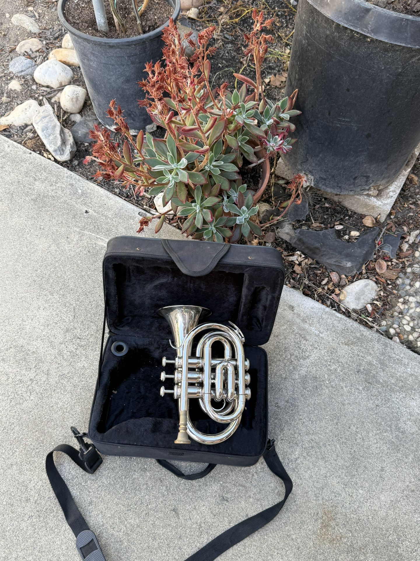Pocket Trumpet ๐บ
