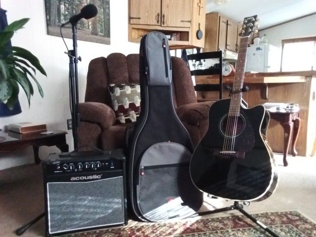 Electric Acoustic Guitar /Amplifier/Microphone /Case /Stands And Accessories.