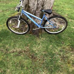 26” Mountain Bike 