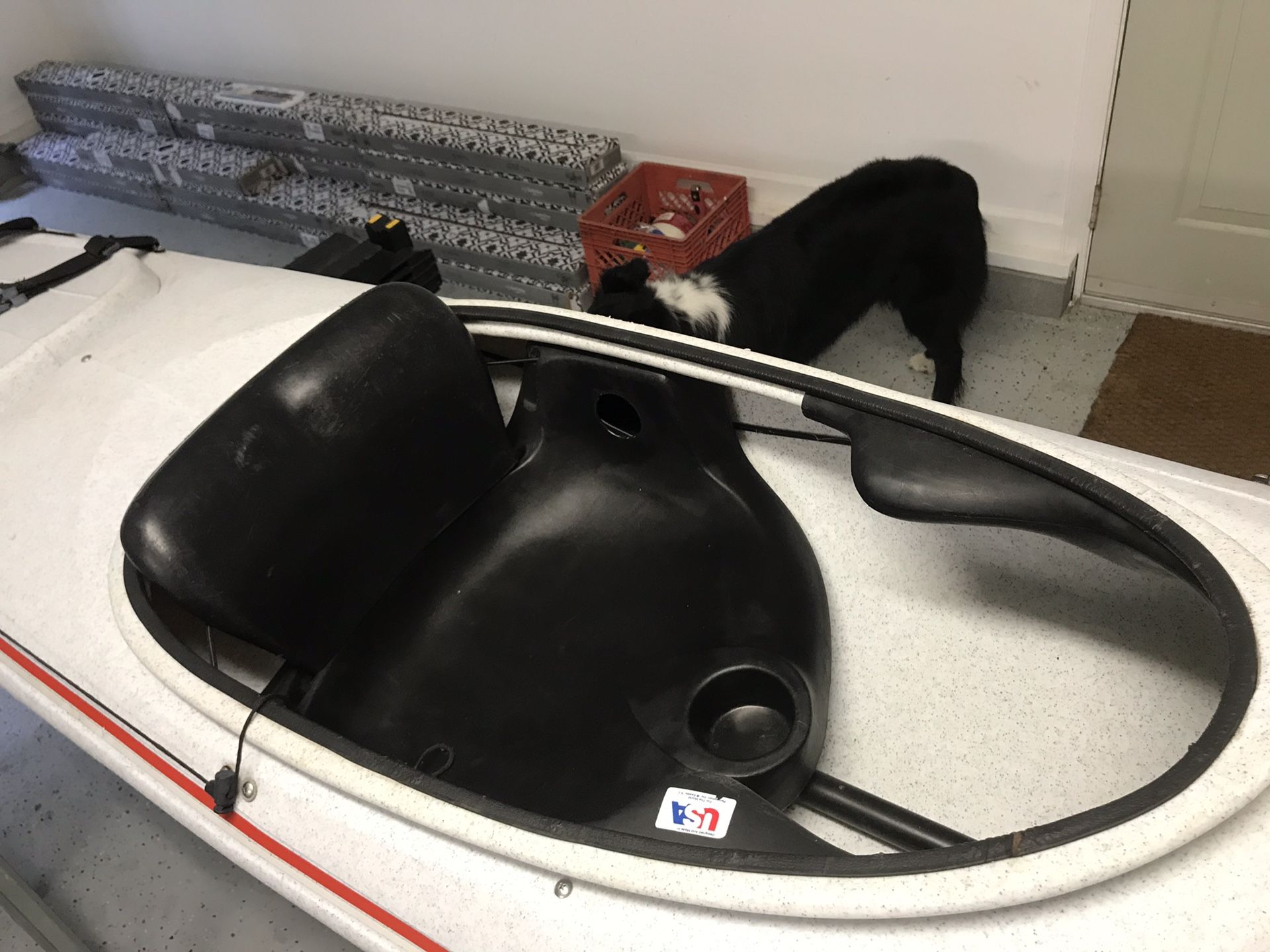 Perception Sea Lion Sea Kayak for Sale in Williamsburg, VA OfferUp