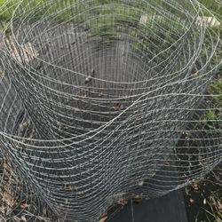 Chicken Wire Wire Fence 