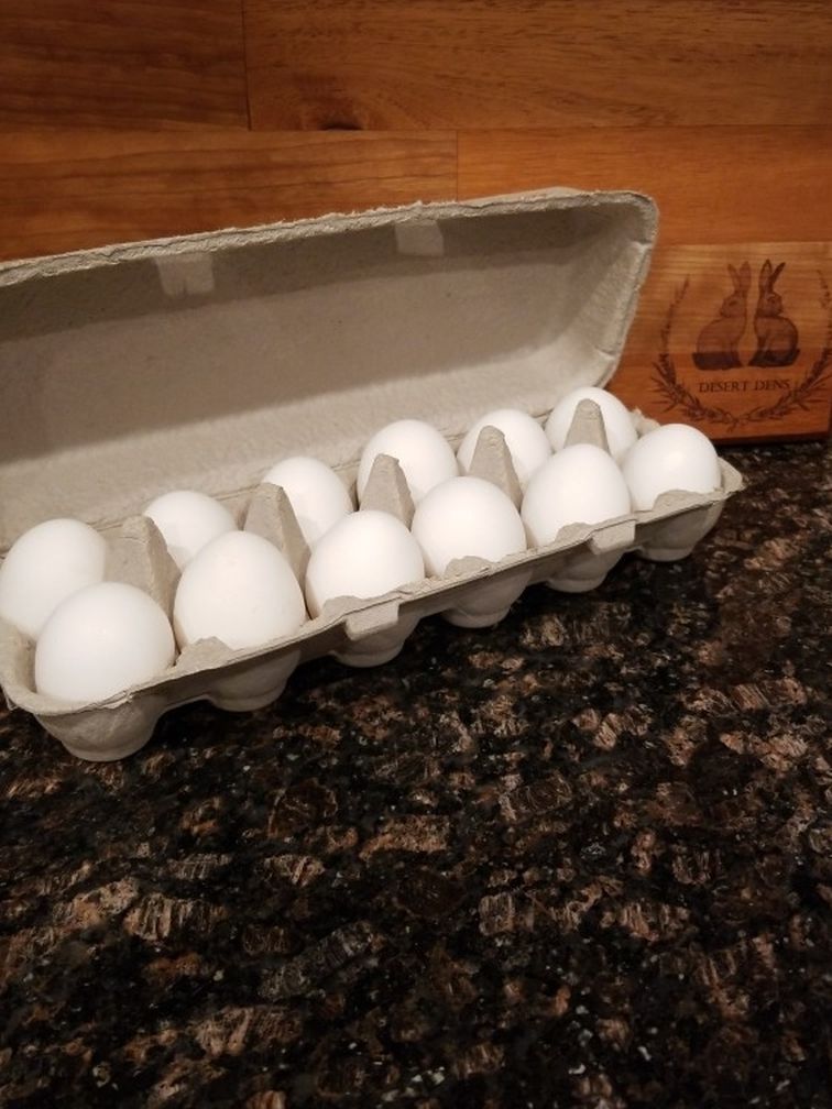 Farm Fresh Eggs (Leghorn)