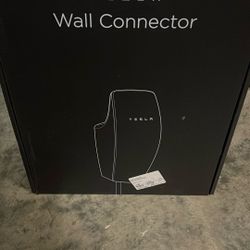 Tesla wall Connector