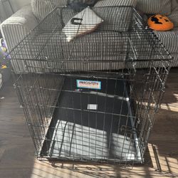 Xl Dog Kennel