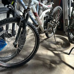 Mongoose Mountain Bike
