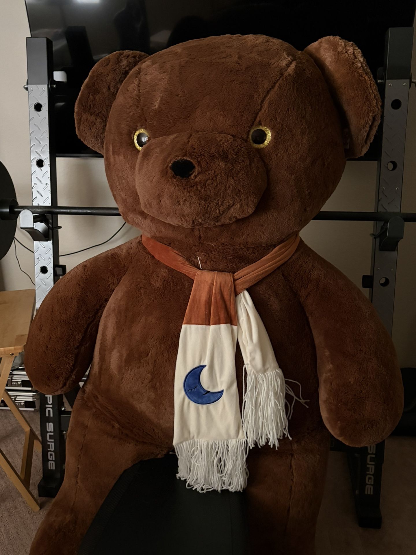 Large Bear Stuffed Animal