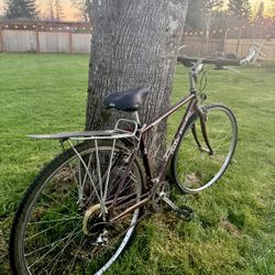 Vintage Gary Fisher Zebrano