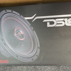 Ds18 6.5 Speakers