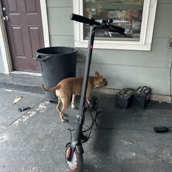 Electrify Scooter 25 Miles Per Hour 