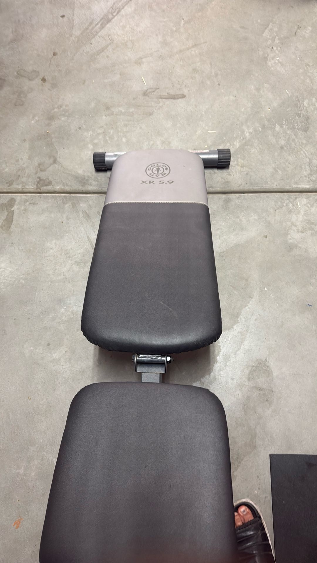 Gold's Gym XR 5.9 Adjustable Slant Workout Weight Bench