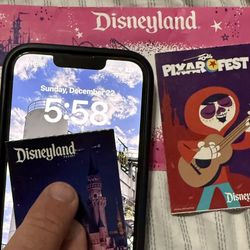 Disneyland 