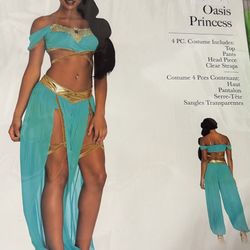 Women Costume - princess jasmine MEDIUM
