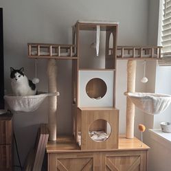 Cat Tree And Catbox Hideout 
