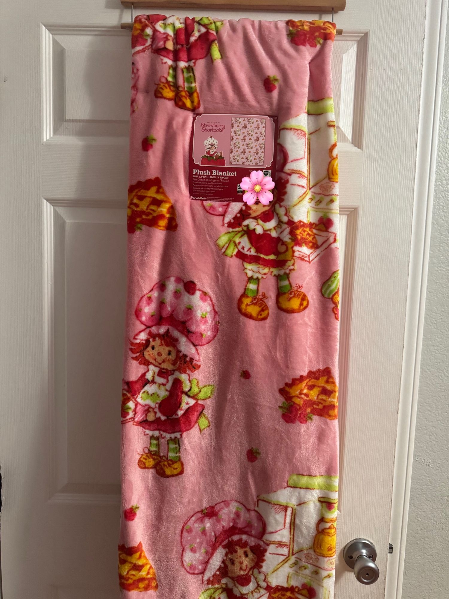 Strawberry Shortcake Twin Blanket