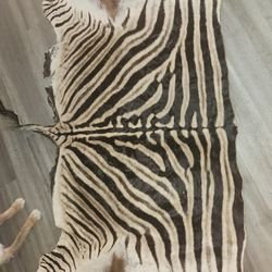 Zebra Skin Rug