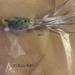 Top water frog lure 🐸