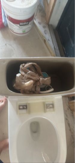Toilet white