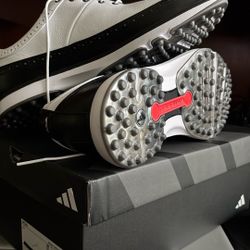 Golf Shoes 