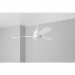 Ceiling fan