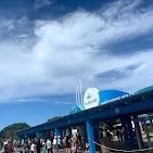 SEAWORLD SAN DIEGO SINGLE DAY 