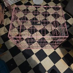 Cage