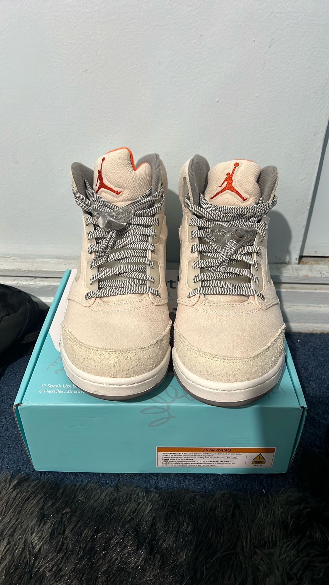 Air Jordan 5 SE 