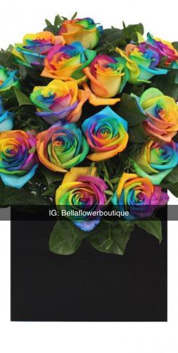 Rainbow roses!rosas de arcoÃris 🌈
