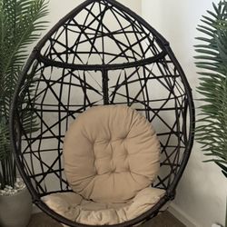 Hanging Egg Chair 