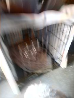 Jaula Perro Para Doverman