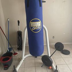 Punching Bag With Speed Bag And Stand 