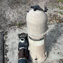 Pool pump and Filters (Reconditioned )