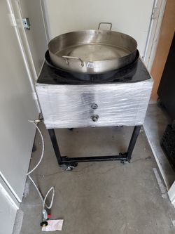 Professional Fryer