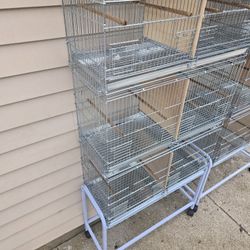 Bird Cages 