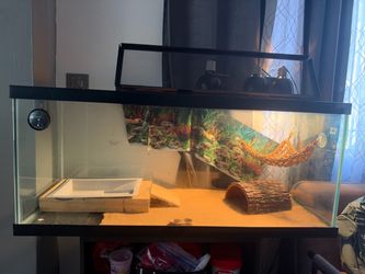 Reptile Tank Terrarium Setup with Accessories