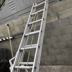 Construction Ladder 