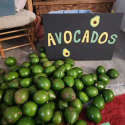 Avocados $1 organic just picked!