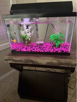 Fish Tank (10 Gallon)