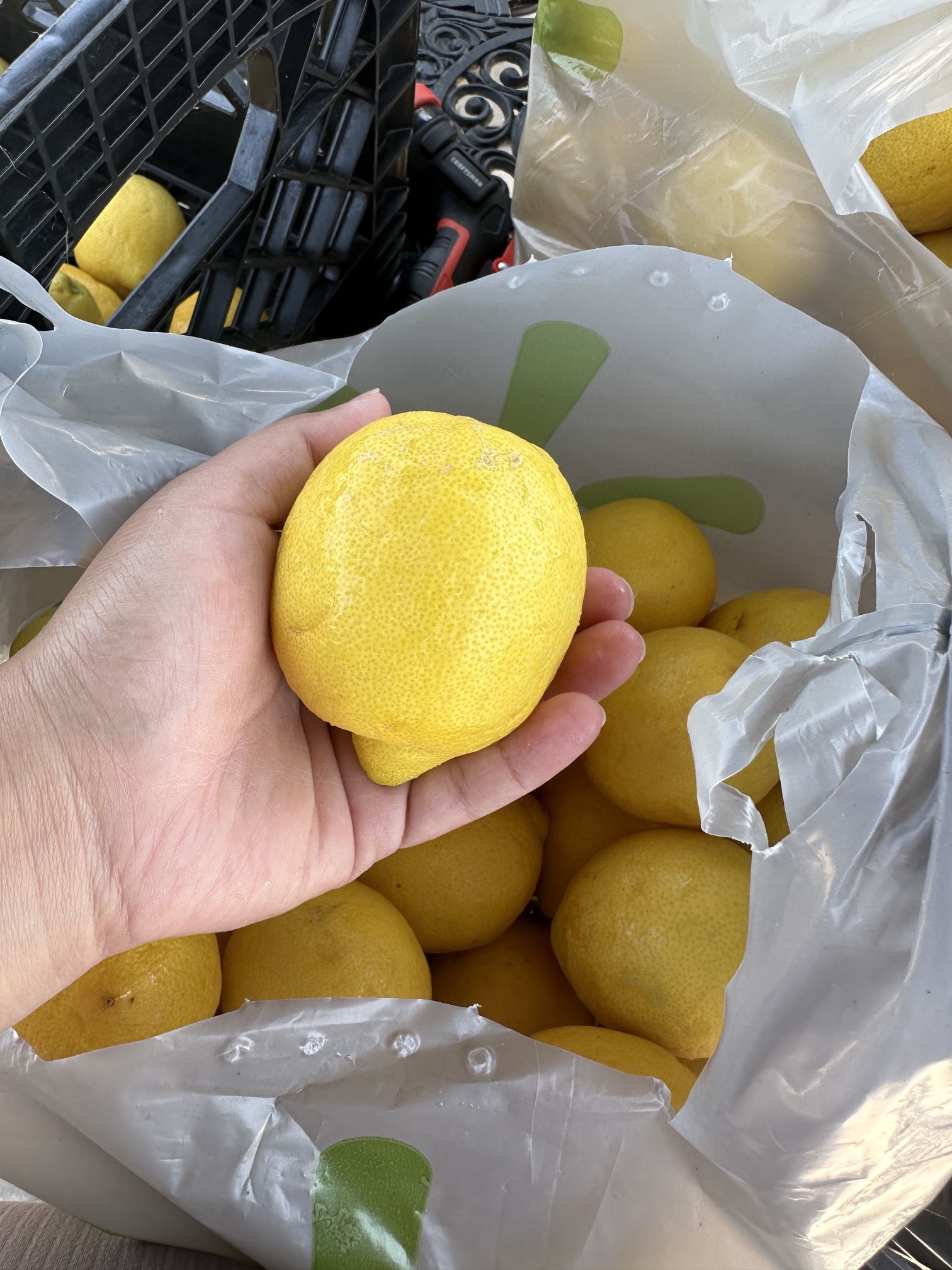 Lemons