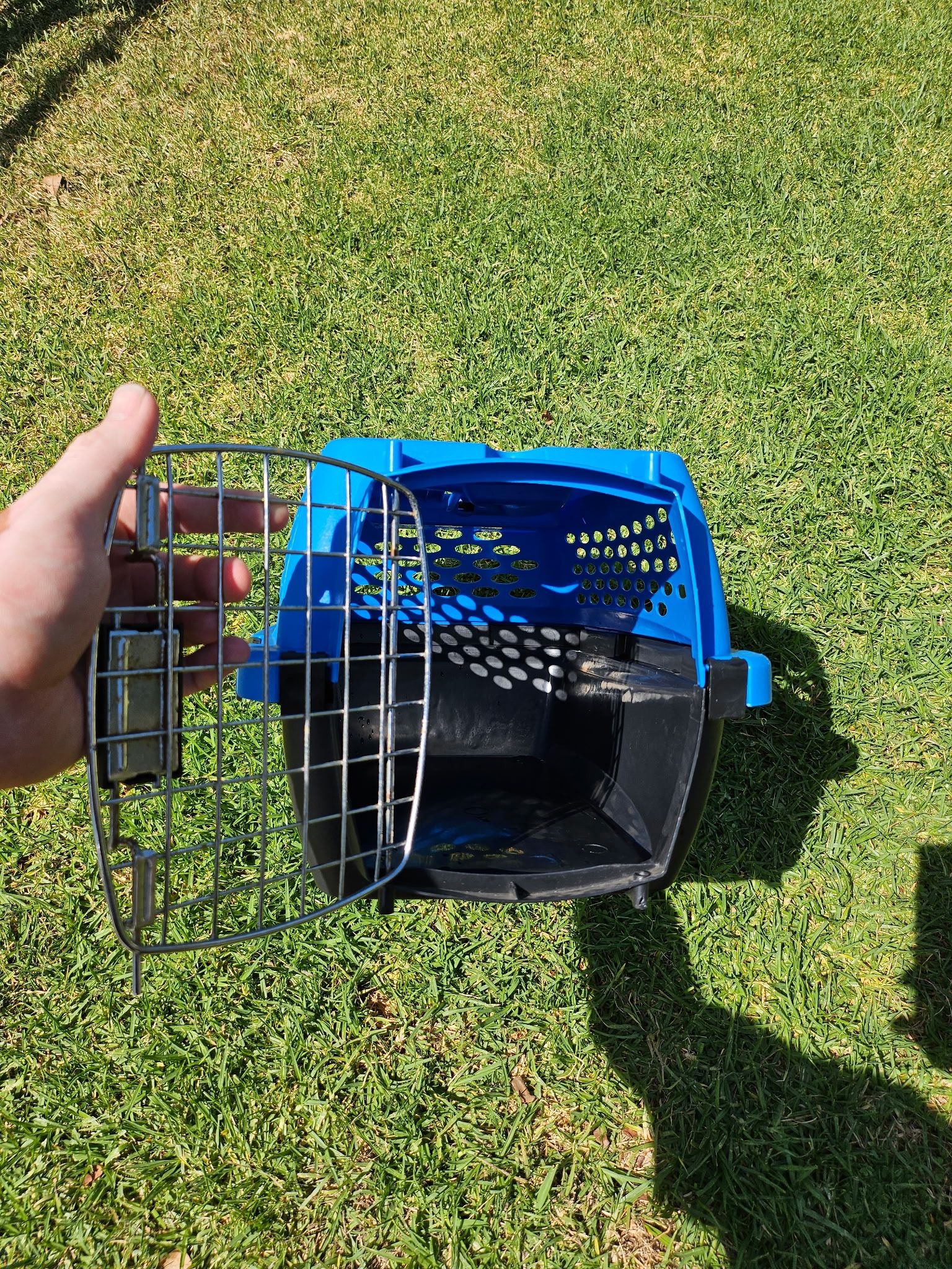 Pet Travel Carrier