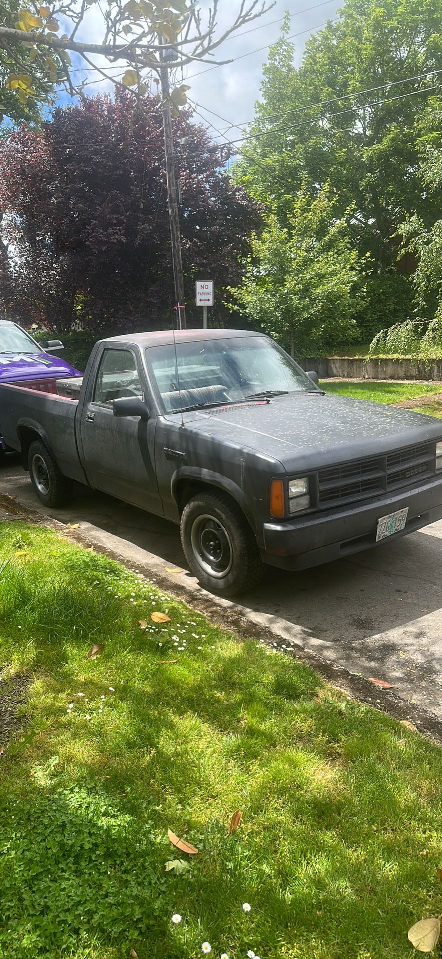 1989 Dodge Dakota