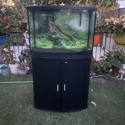 Fish Tank