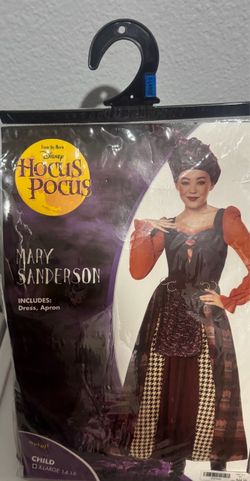 Mary Sanderson Costume