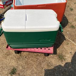 Igloo Cooler