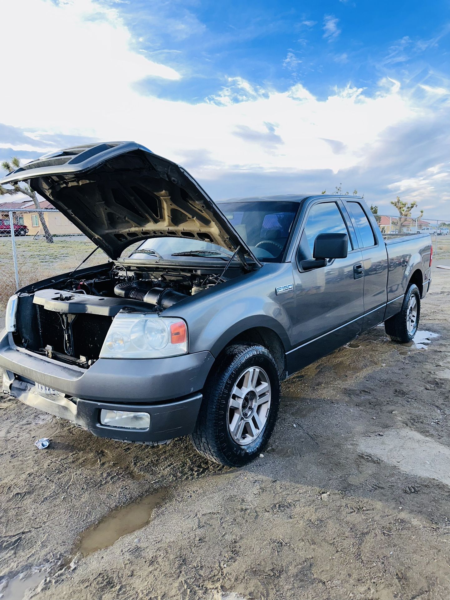 2004 Ford F-150