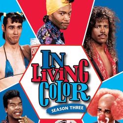 “In Living Color”, Season 3, DVD Set